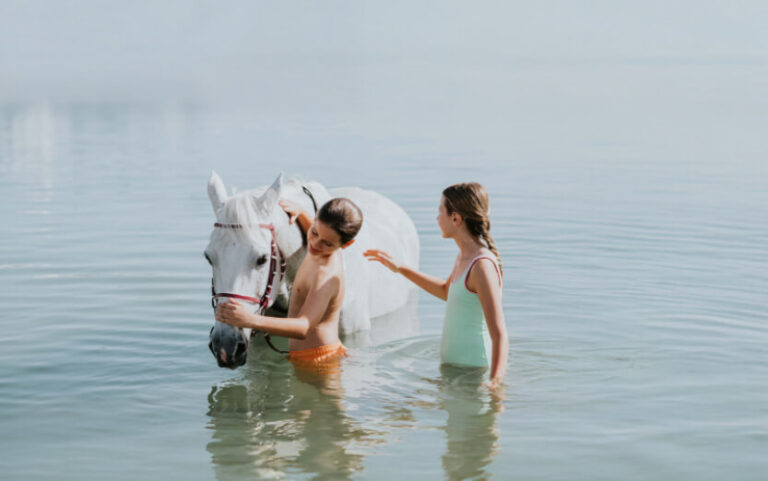 Swimming with horses in the Arabian Gulf, Jebel Ali Golf Resort