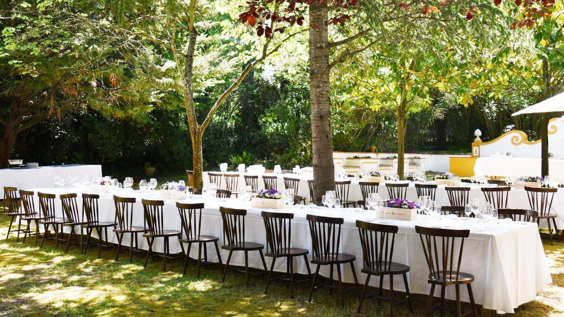 A long banquet table laid in the garden, José Maria da Fonseca Casa Museu