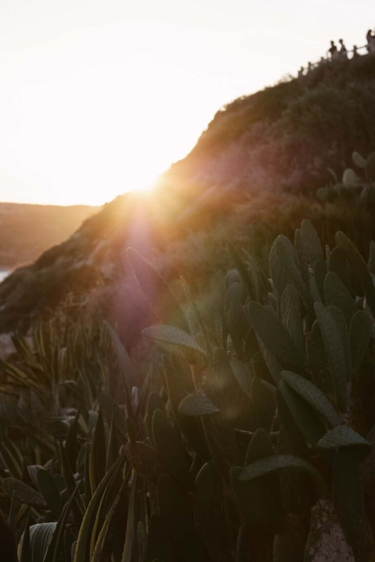 Last light over the dunes, Kaleidos Wedding