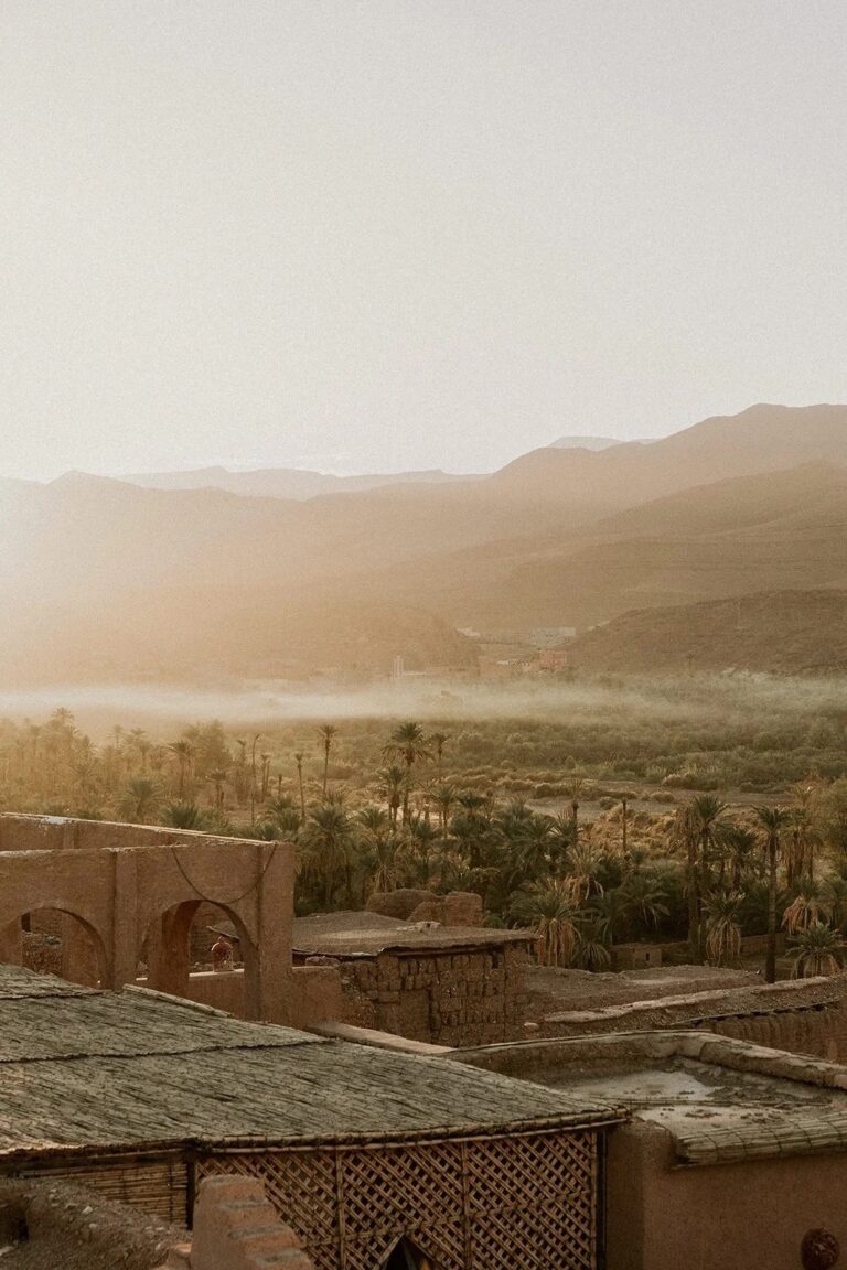 Morning light over the oasis from the kasbah roof, Kasbah des Caïds