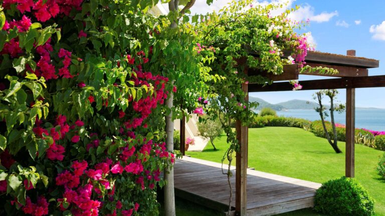 Pergola and lawn above the bay, Kempinski Hotel Barbaros Bay Bodrum