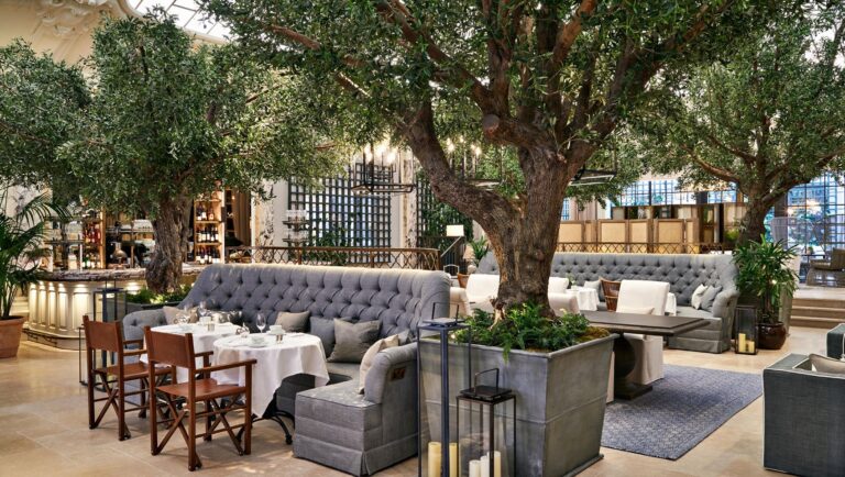 Palm Court with its four indoor trees rising over sofas, tables and the Champagne bar, Kimpton Fitzroy London