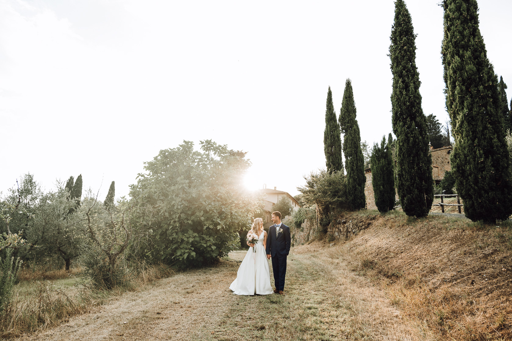 Golden hour on a Tuscan country lane lined with olive trees, La Bottega del Sogno