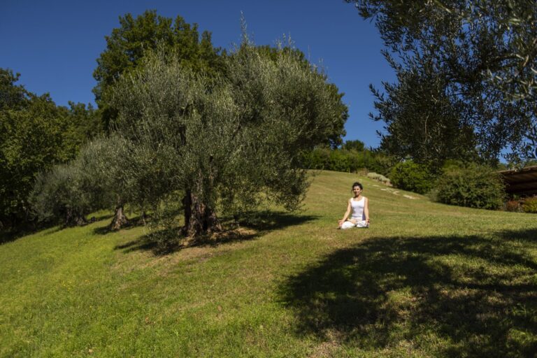 Yoga on the estate, Le Torri di Bagnara, Le Torri di Bagnara Castles