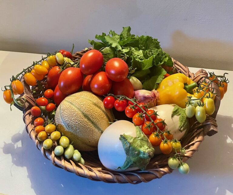 Harvest basket with estate vegetables, Le Torri di Bagnara Castles