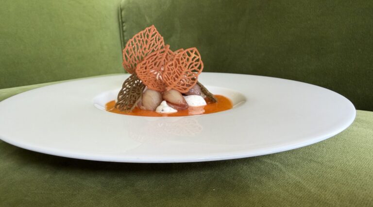 A plated dish on a white plate against green velvet, Locanda La Raia