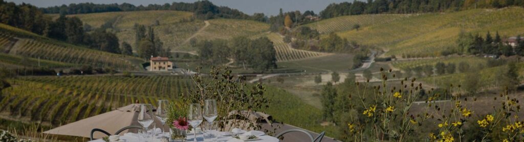 Vineyards on the hills of the Gavi, with a farmhouse among the rows, Locanda La Raia