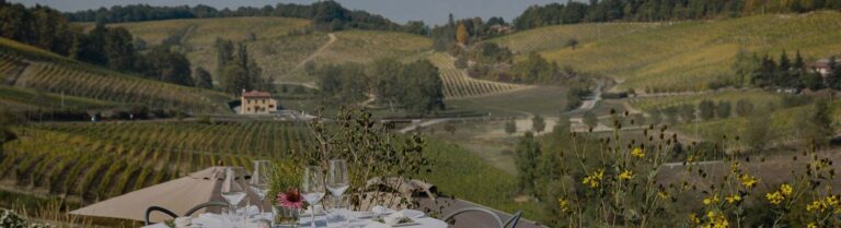 Vineyards on the hills of the Gavi, with a farmhouse among the rows, Locanda La Raia
