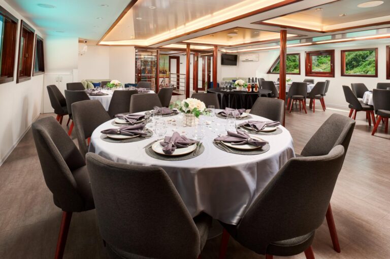 The saloon dining area, Lupus Mare