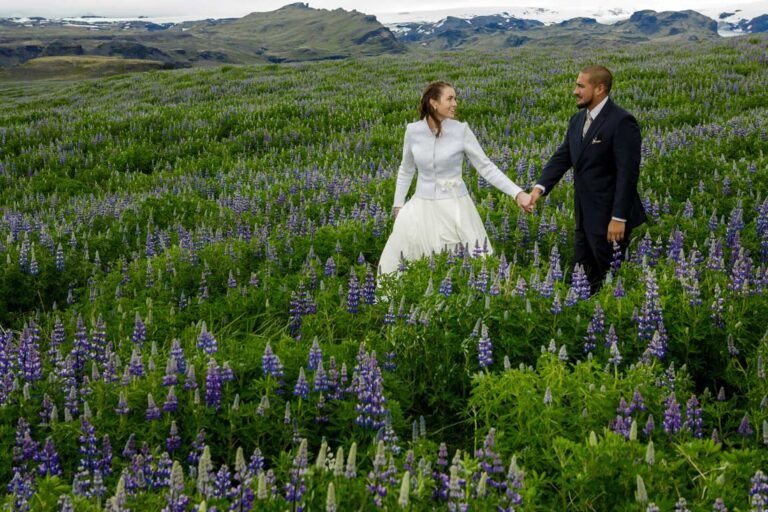 A bride and groom hold hands in a field of purple lupins with mountains behind, Luxwedding Iceland