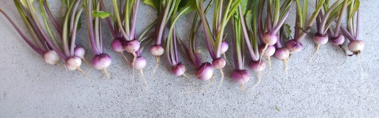 Fresh local produce used in the kitchen, Luz Houses