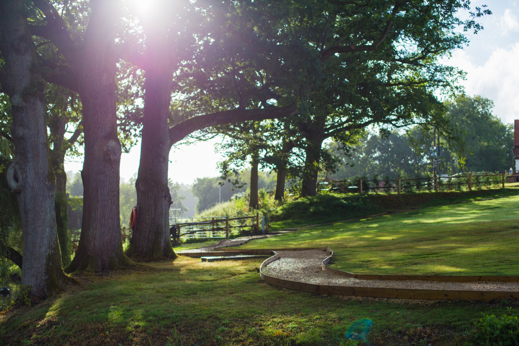 A great oak and open lawns in the wooded grounds of the country-house estate, Lythe Hill Hotel & Spa