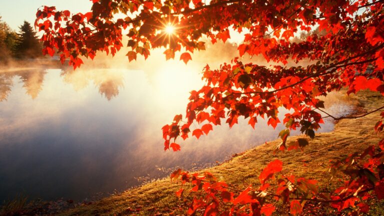 Red autumn leaves reflected in the still water of the ornamental lake, Lythe Hill Hotel & Spa