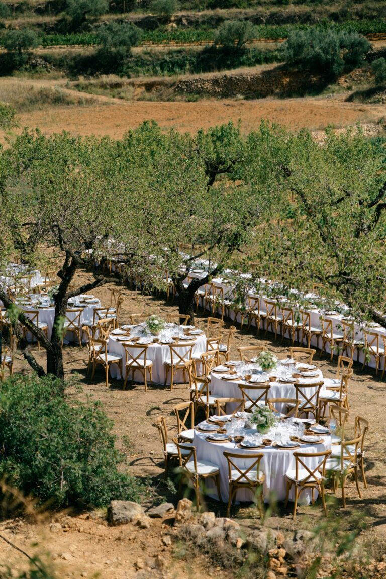 A Banquet in the Olive Grove, Masia Cabellut