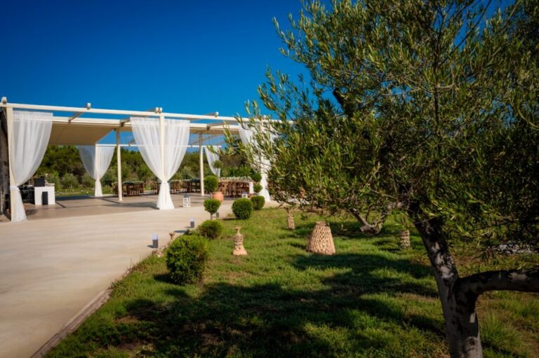 The lawn and pavilion by day among olive trees, Mazal Weddings