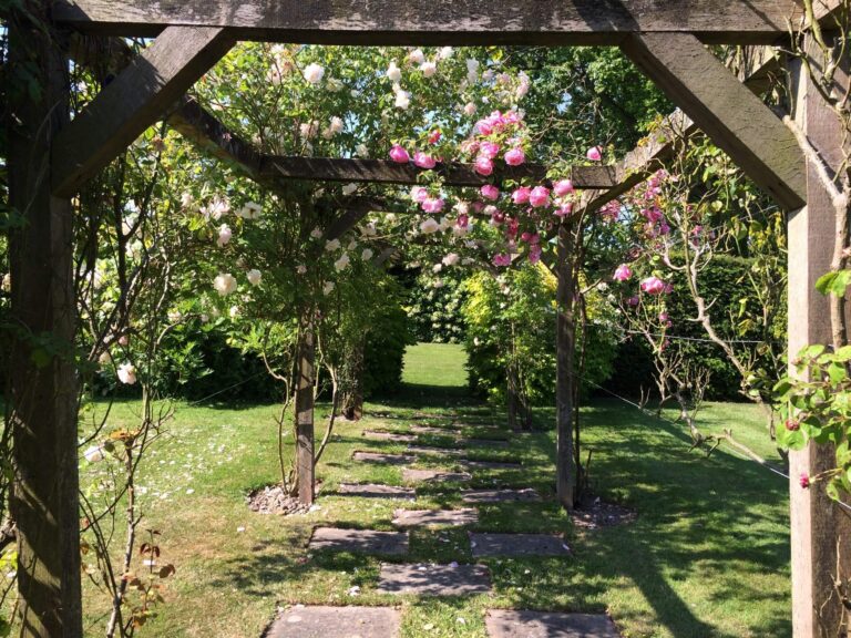 The rose-covered pergola walk, Micklefield Hall
