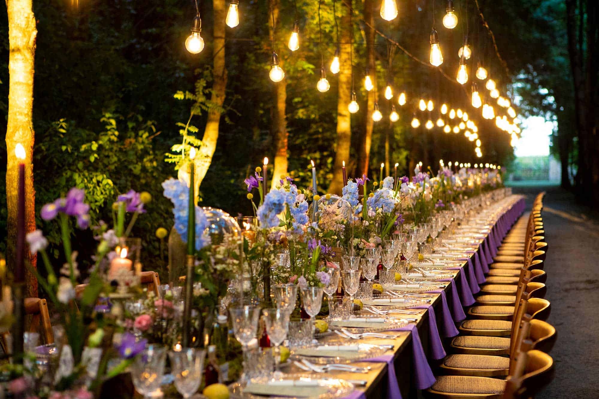 A long imperial table under strung bulbs, a purple runner and gold chairs, Mirko Zago, Sparkling Weddings and Events
