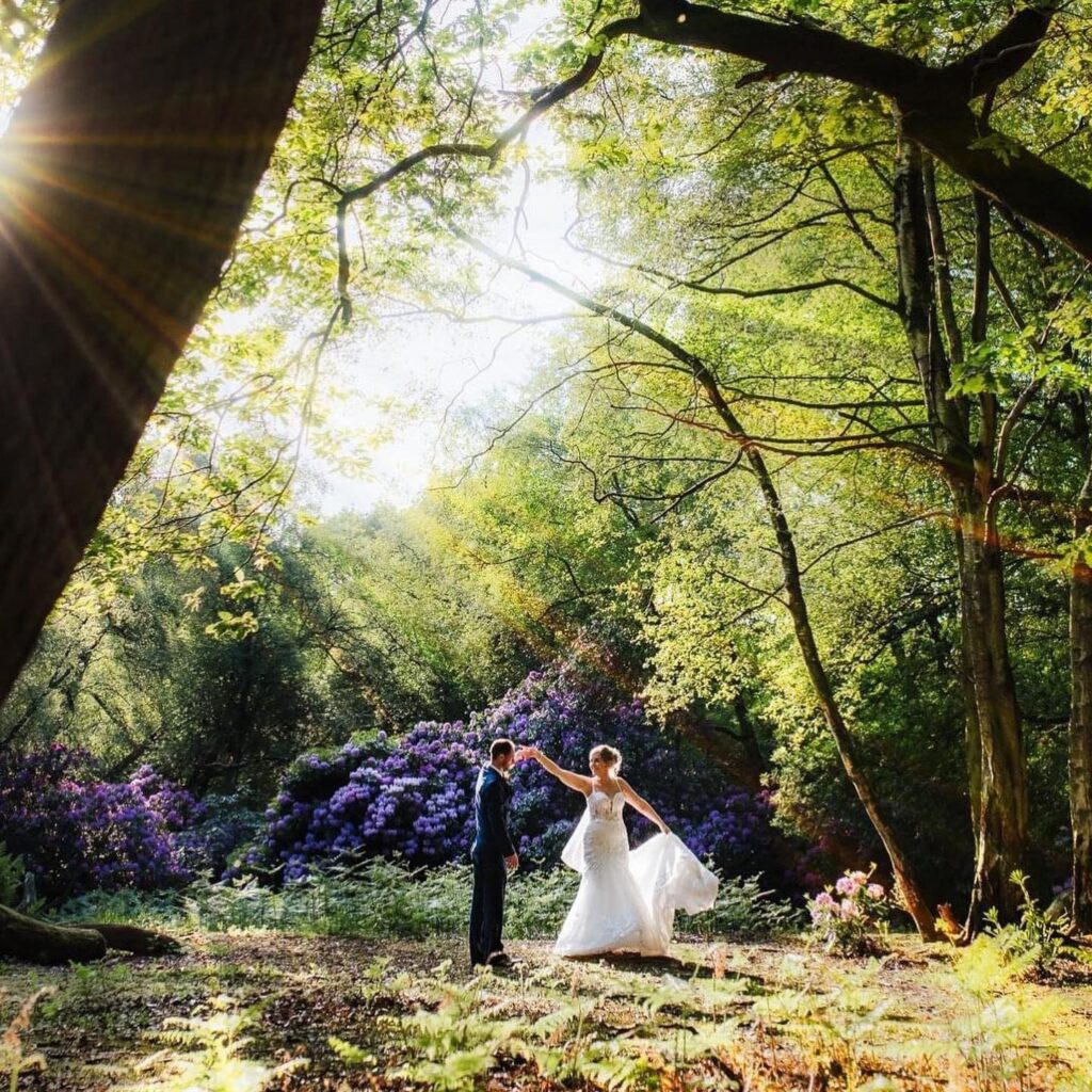 Woodland and lakeside in Staffordshire