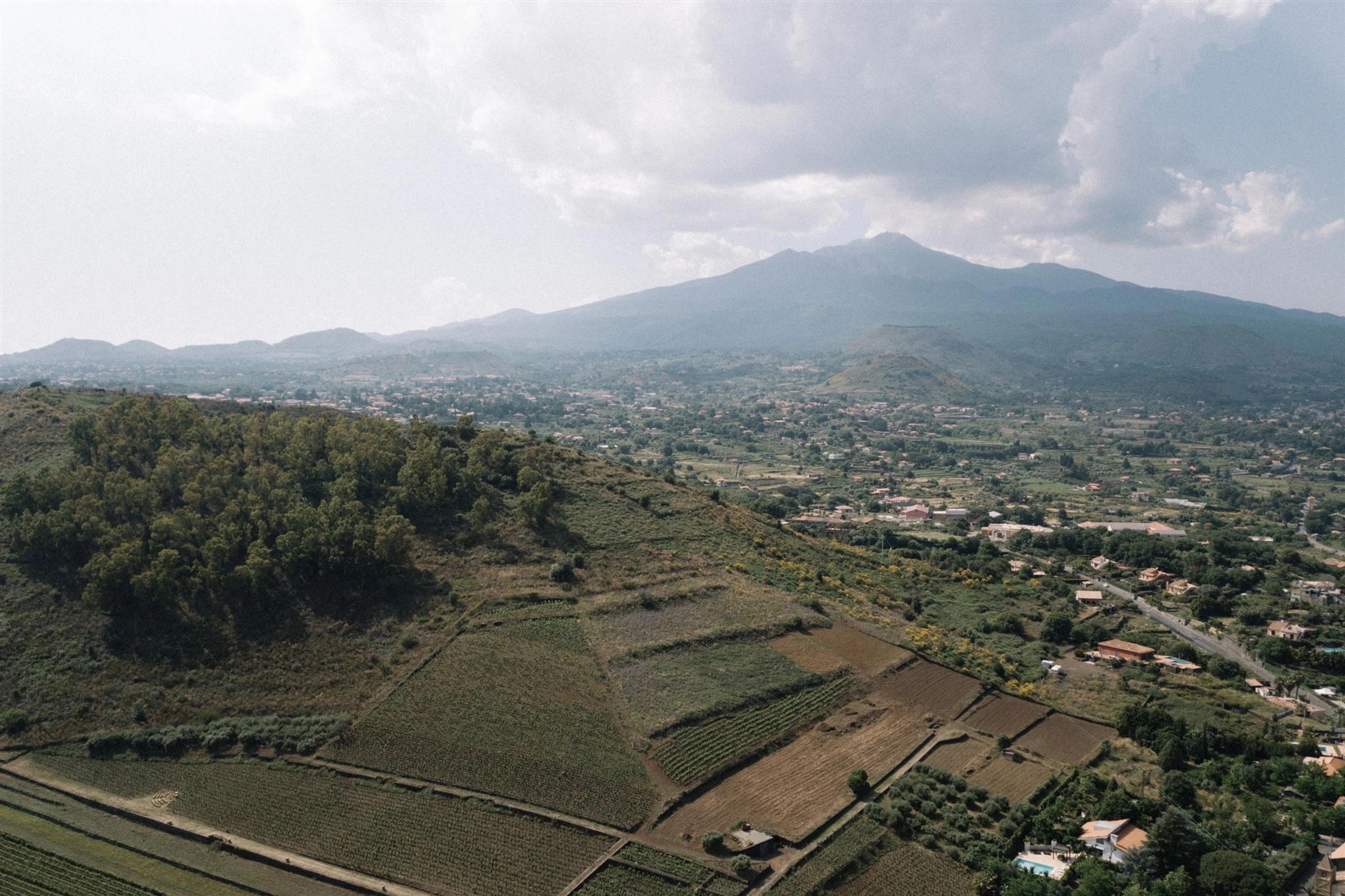 Aerial view over Etna's lower slopes: vineyard terraces, olive groves and the town of Viagrande spread beneath the volcano's summit, My Sicilian Wedding