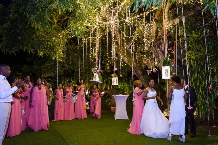 A bridal party in pink and a bride in white beneath strings of hanging lights in a garden, Myl'Evasions