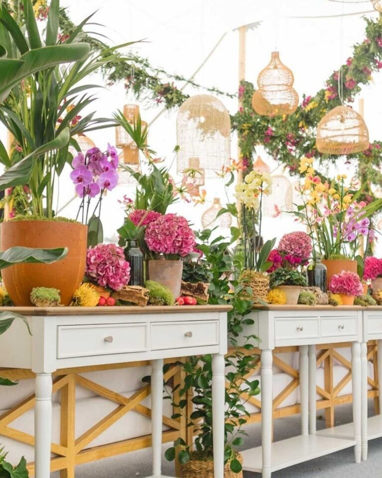 , Naureen Khan Events