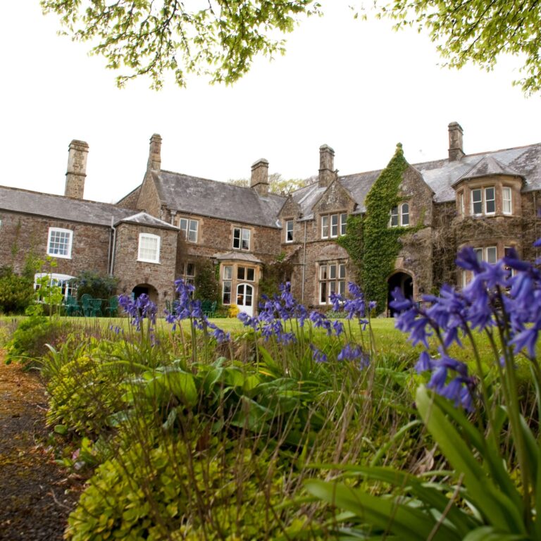 The manor seen from the garden borders, with blue flowers in the foreground, Northcote Manor Hotel