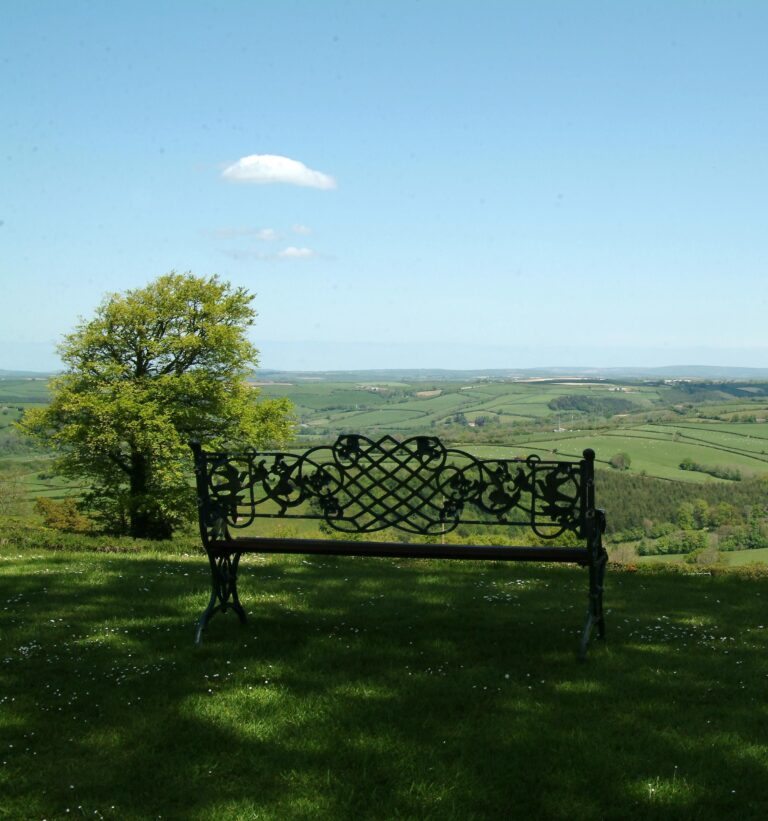 An iron bench on the grass with a lone tree and open views across the North Devon countryside, Northcote Manor Hotel