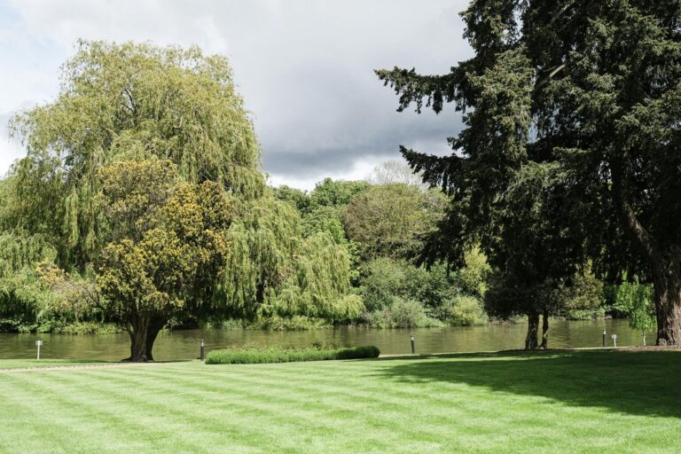 A weeping willow and mown lawn on the riverbank, Oakley Court Hotel, Windsor