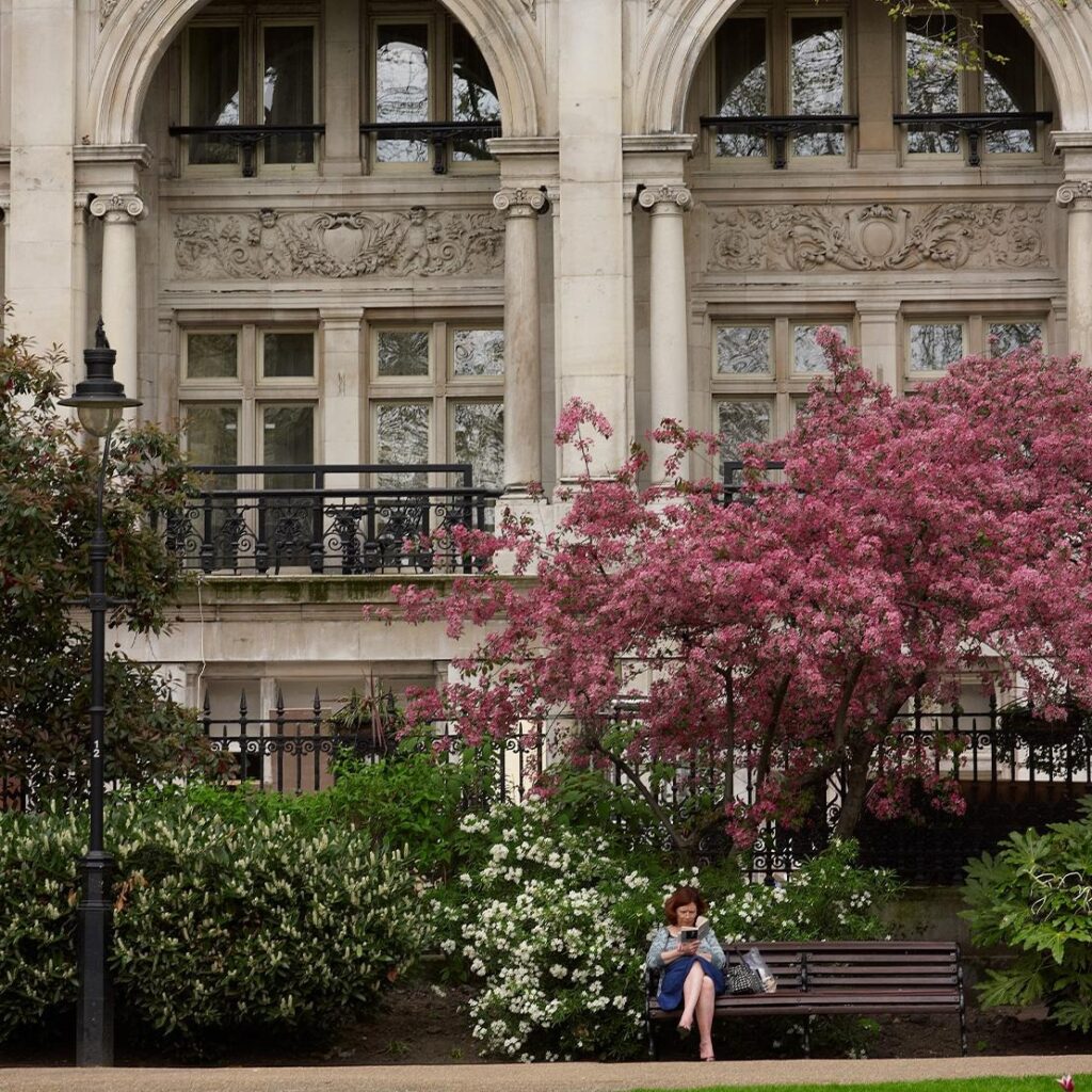 The stone facade and flowering trees in the gardens beside the building, One Whitehall Place