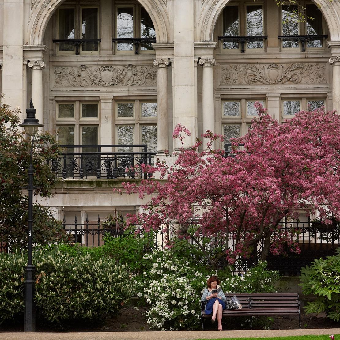 The stone facade and flowering trees in the gardens beside the building, One Whitehall Place