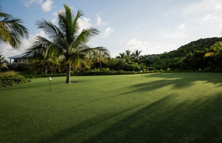 The nine-hole par-three golf course among palms, Over Yonder Cay