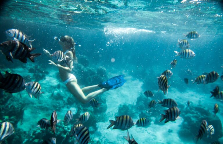 Snorkellers over the reef, Over Yonder Cay