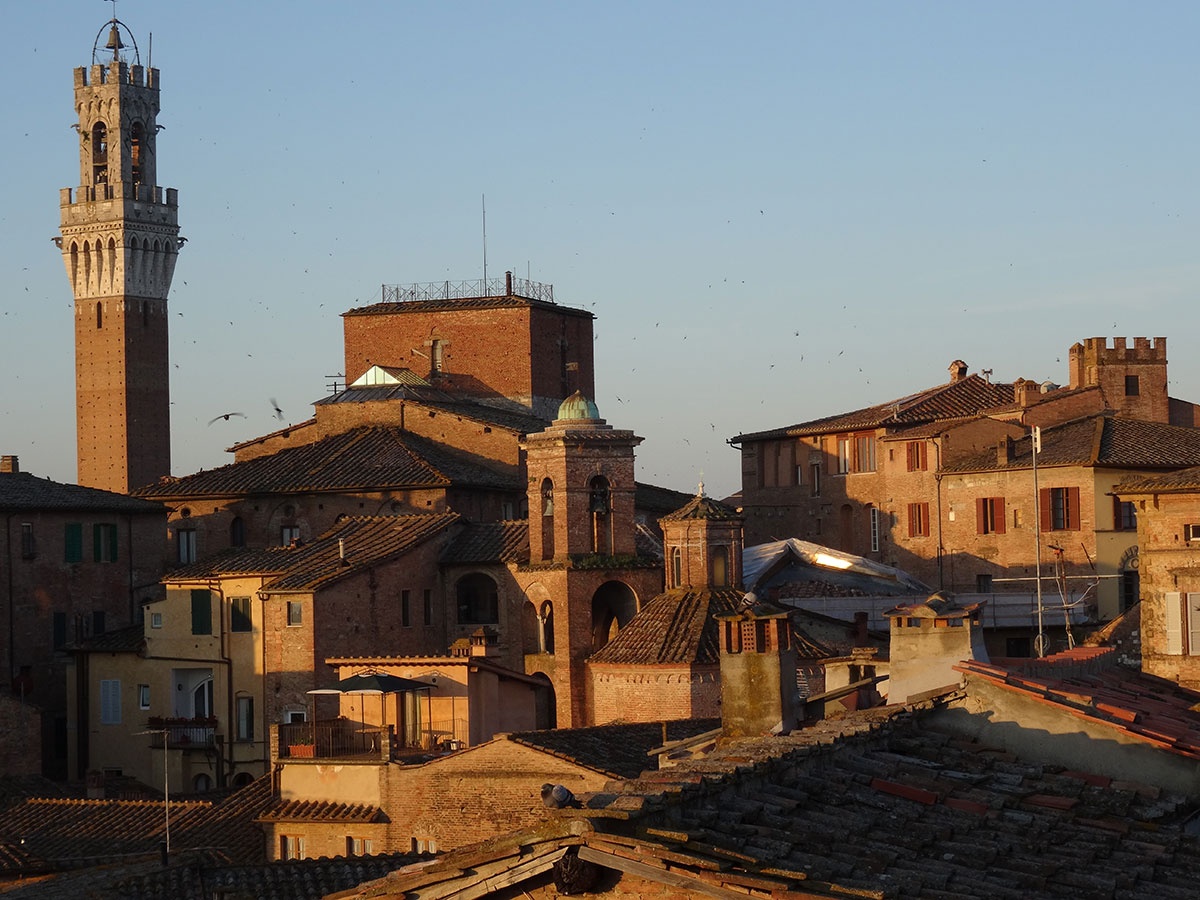 A rooftop panorama over Siena's terracotta roofs to the Torre del Mangia, Palazzetto Rosso