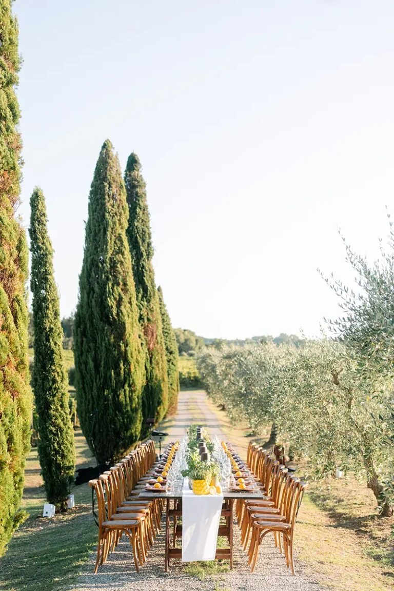 A single table run the length of a cypress avenue, the olive grove either side, Paolo Cicognani Weddings & Events