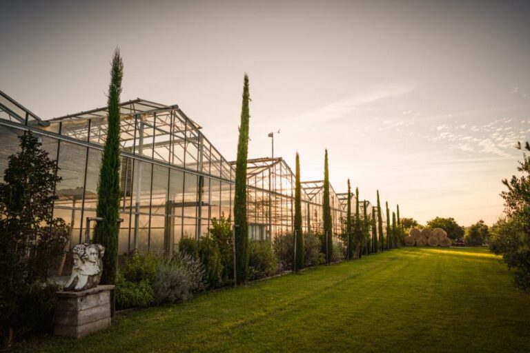 The Greenhouse at Sunset, with a Cypress Allee, Paradis Pietrasanta