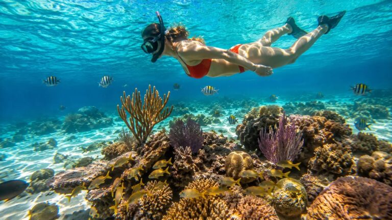 Guided snorkelling over the coral reef, Pearl Island Bahamas