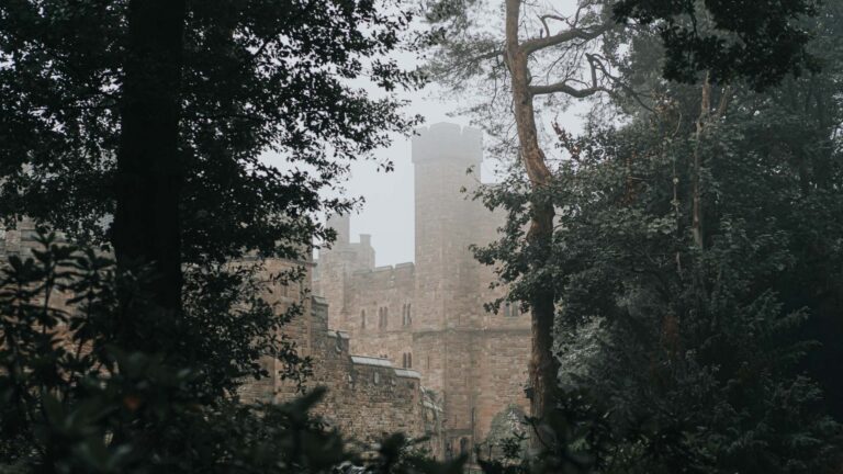 A castle tower rising through misty winter woodland, Peckforton Castle