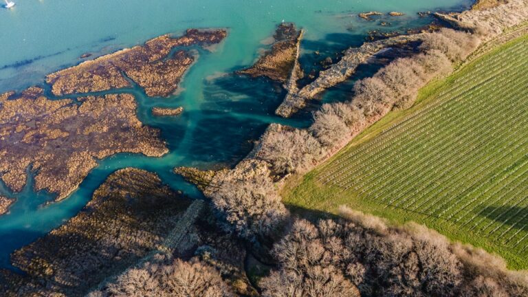 Aerial view of the vineyard rows meeting the saltmarsh and tidal creeks of the Medina, Pinkmead Estate