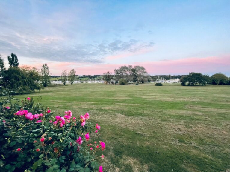 The main lawn at dusk, with pink roses in the foreground and boat masts on the river beyond the trees, Pinkmead Estate
