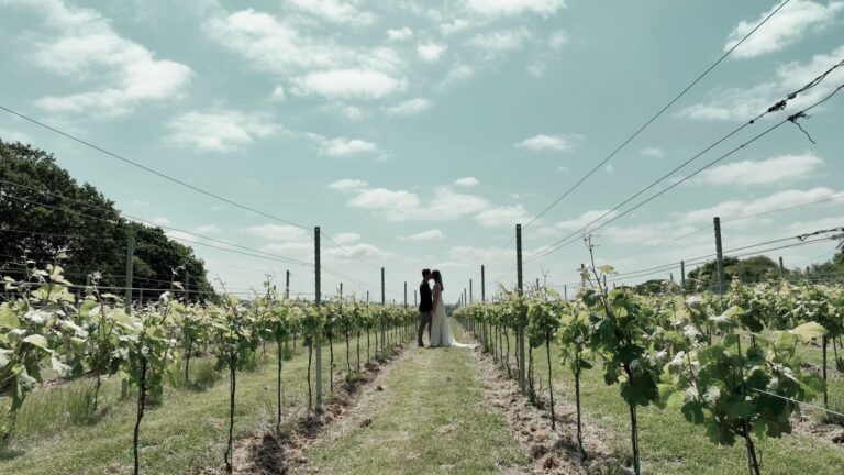 A couple at the far end of a vineyard row under a wide sky, Pinkmead Estate
