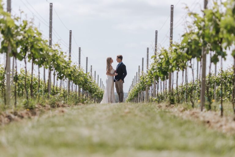A low view along the vine rows to a couple standing among the trellis posts, Pinkmead Estate