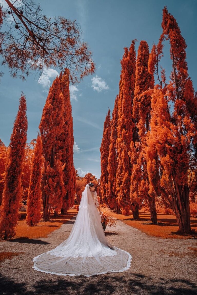 A bride on a cypress avenue at Casa Freda, photographed in chromatic infrared, Pino Coduti Photography