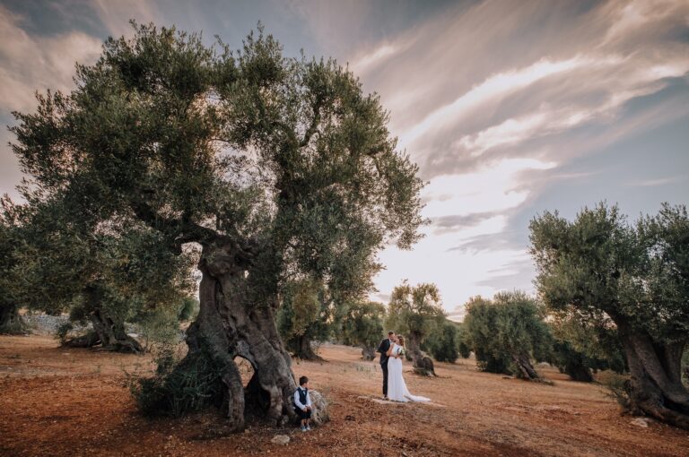 A couple small beneath an ancient olive tree in a Puglia grove, Pino Coduti Photography