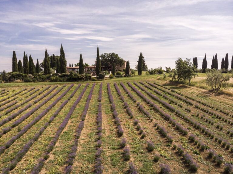 The Estate from the Air, Pometti Estate, Villa Boscarello