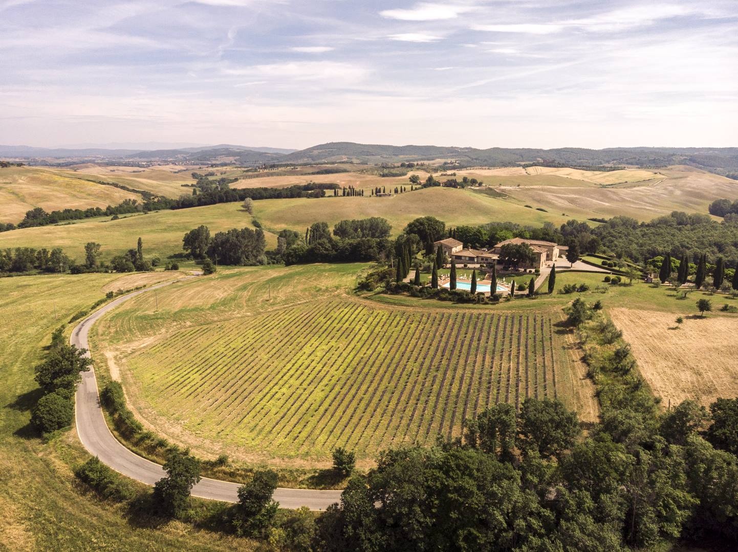 Vineyards and Olive Groves, Tenuta La Selva, Pometti Estate, Villa Boscarello
