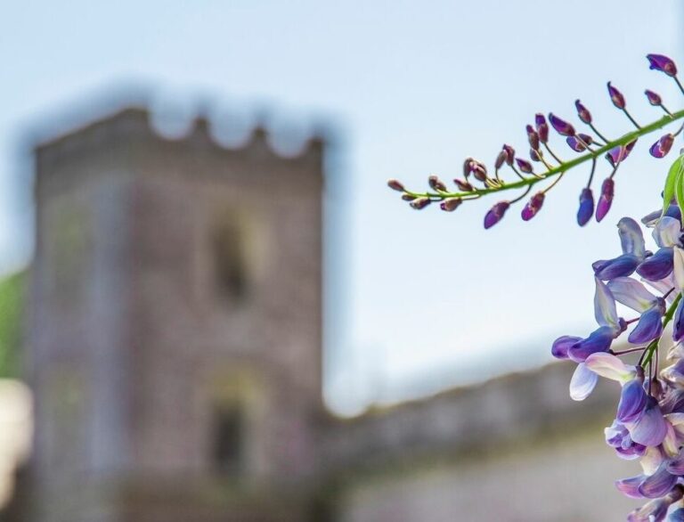 , Powderham Castle