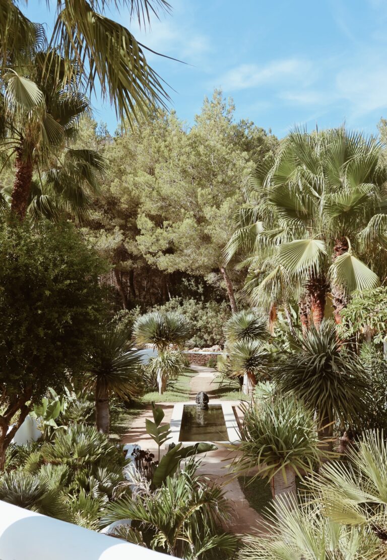 The Moorish Water Garden, Pure House Ibiza