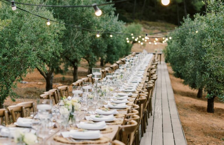 A Feast in the Olive Grove