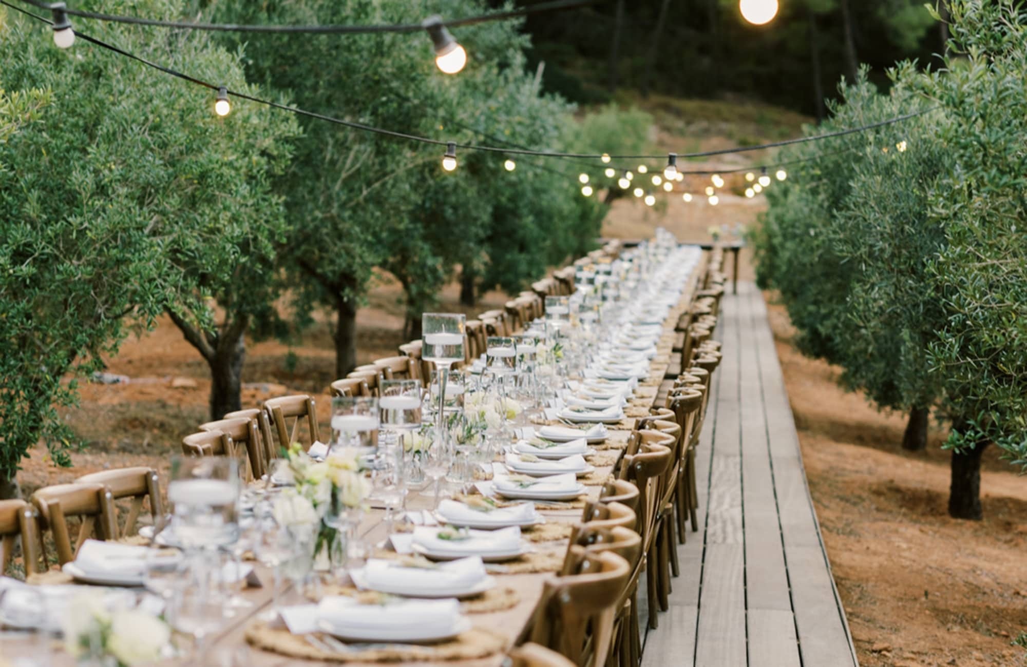 A Long Table in the Olive Grove, Pure House Ibiza