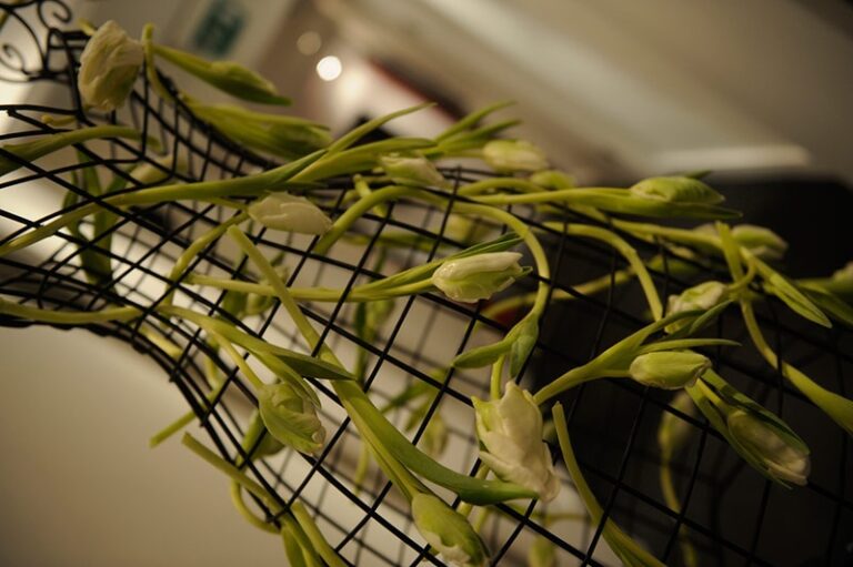 Tulips dressed on a wire mannequin form, a nod to Rebecca's background in theatre, Rebecca Mays